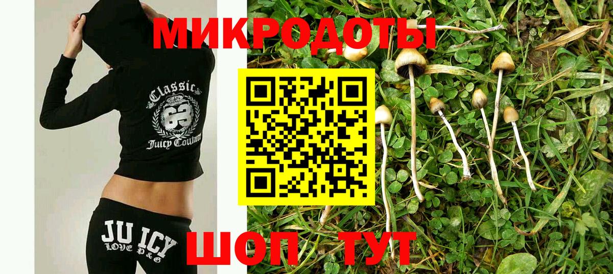 Псилоцибиновые грибы Magic Shrooms  Вход с VPN  купить закладку  Алатырь 