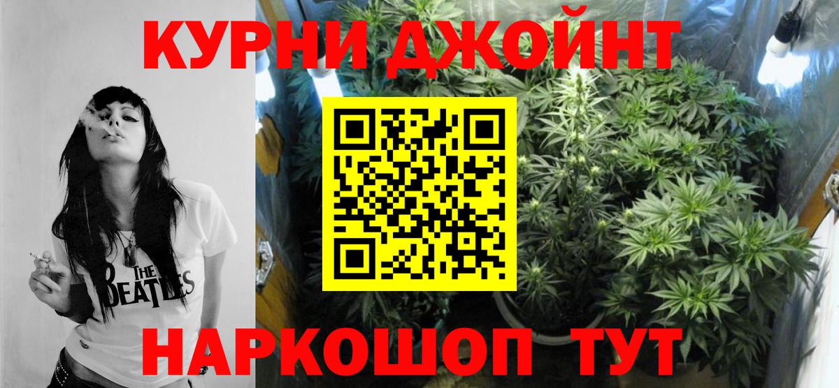 Конопля OG Kush  Вход с VPN  Каннабис THC 21%  Алатырь  Шишки марихуана планчик 