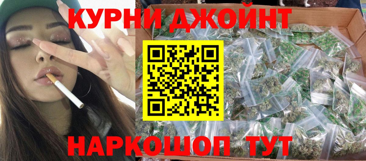 Каннабис планчик Алатырь